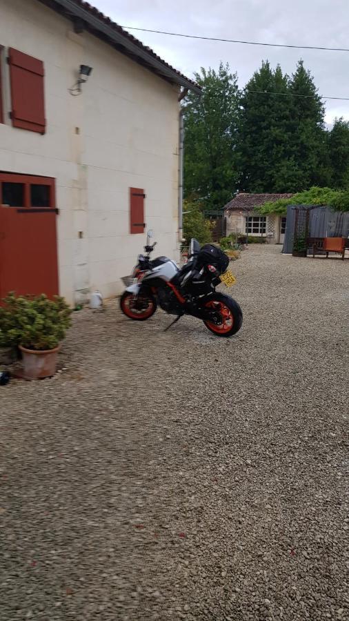 Les Cygnes Noirs