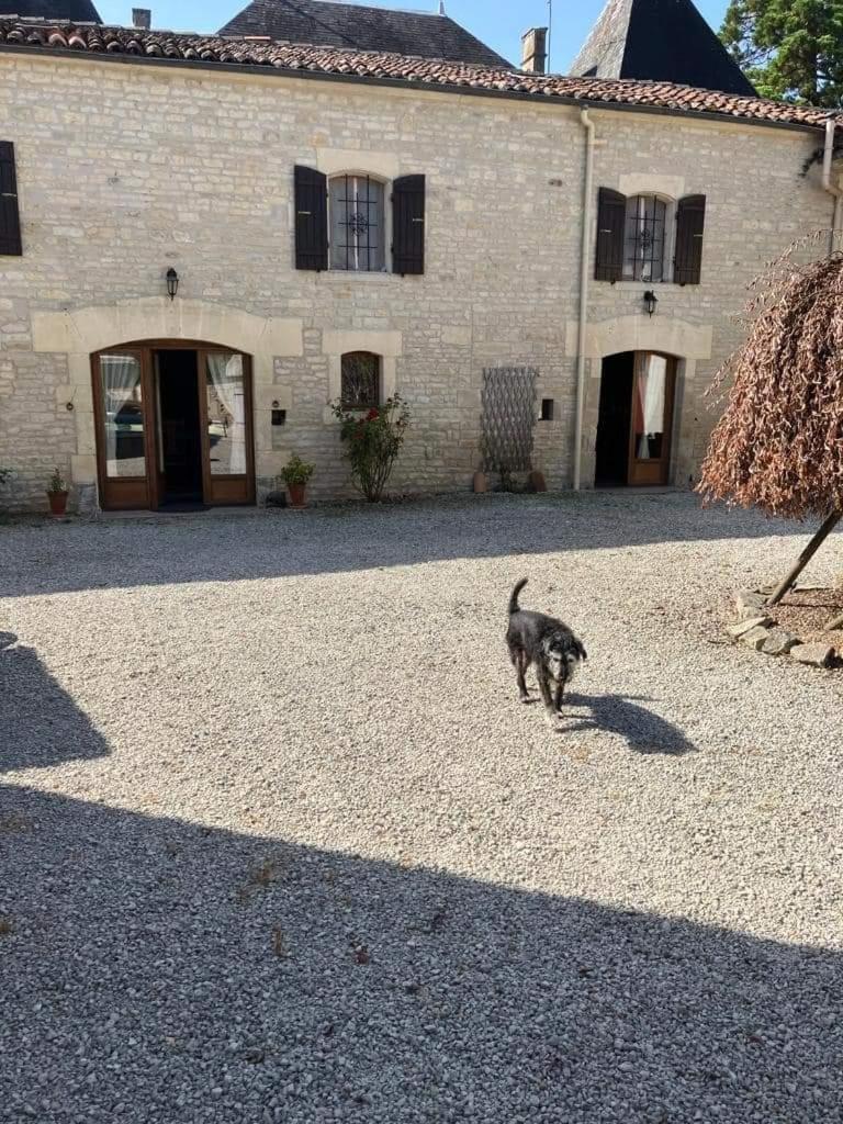 Les Cygnes Noirs Alojamento de Acomodação e Pequeno-almoço Aujac (Charente-Maritime)