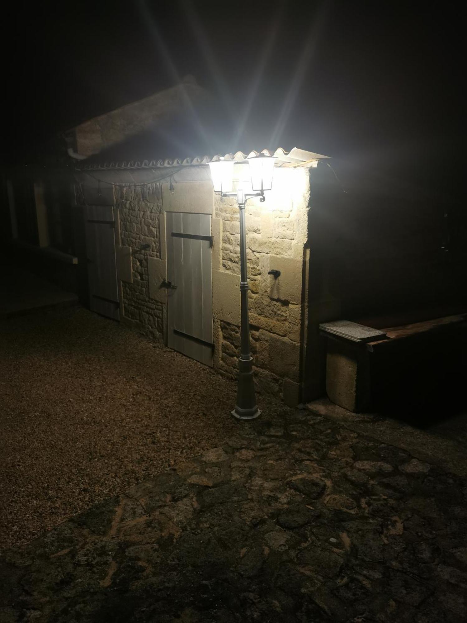 Les Cygnes Noirs Aujac (Charente-Maritime)